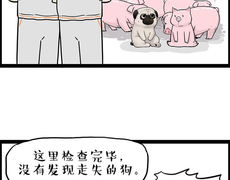 第247话 巴扎猪26