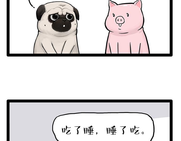 第247话 巴扎猪29
