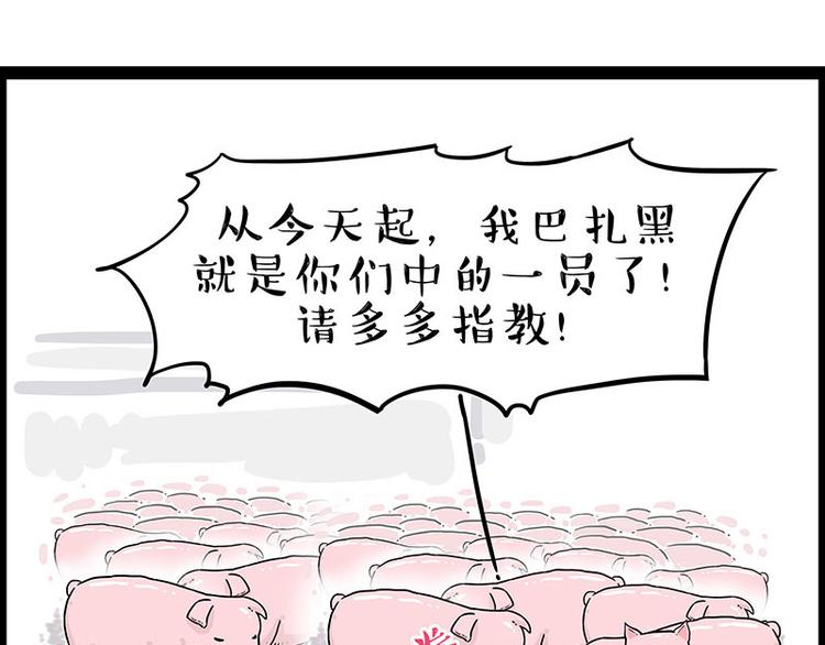 第247话 巴扎猪31