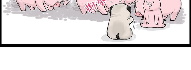 第247话 巴扎猪32