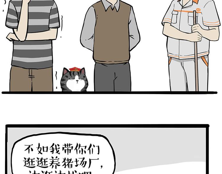 第247话 巴扎猪34