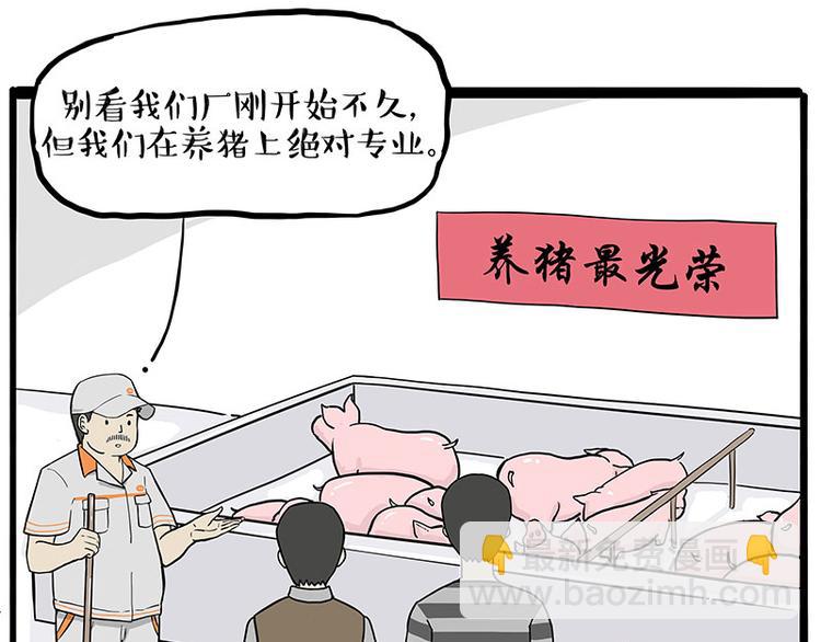 第247话 巴扎猪37