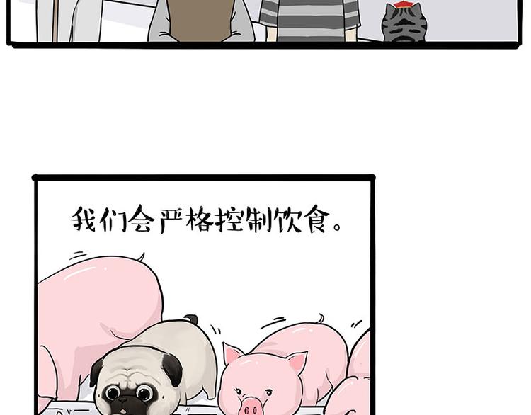 第247话 巴扎猪38
