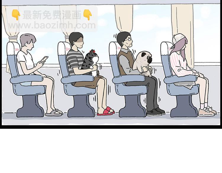 第247话 巴扎猪4
