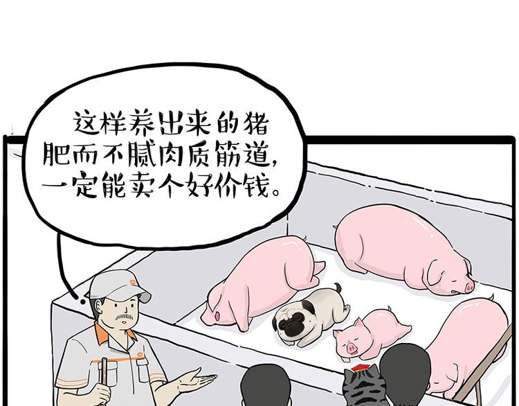 第247话 巴扎猪41