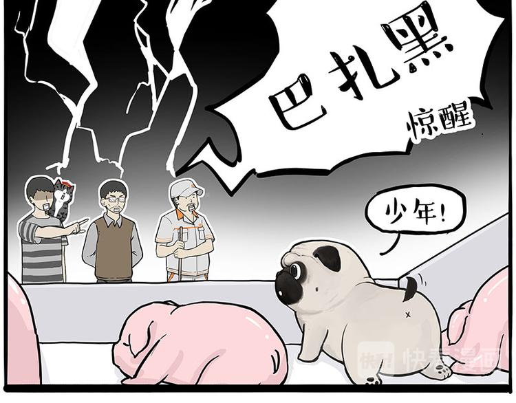第247话 巴扎猪44