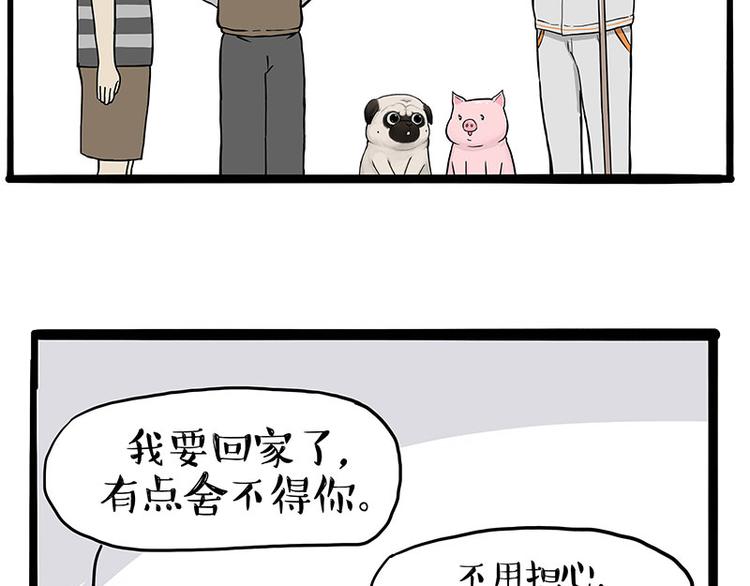 第247话 巴扎猪47