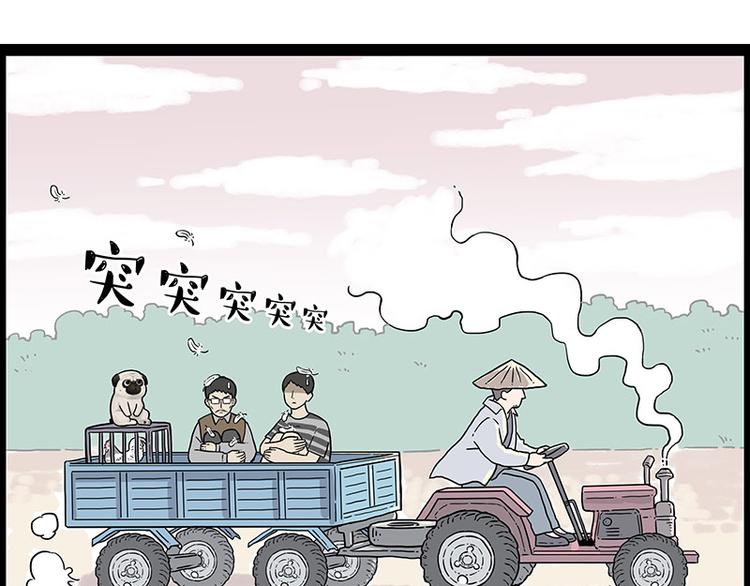 第247话 巴扎猪5