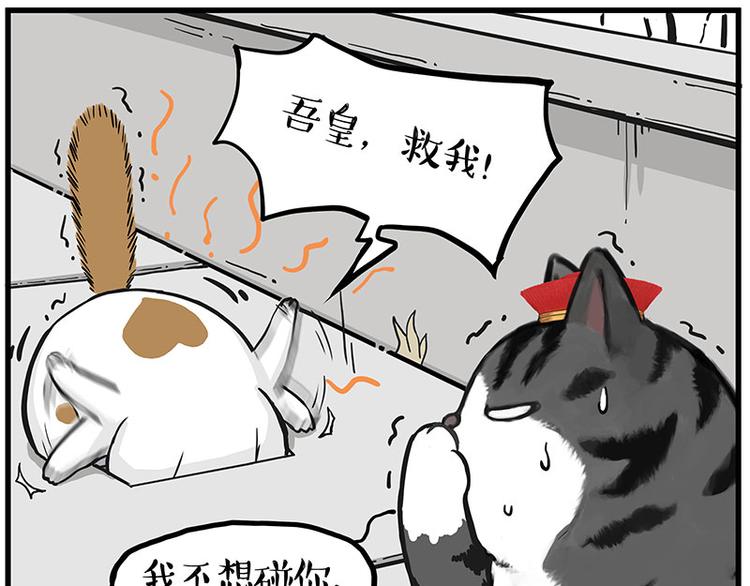 第248话 童话是真的21