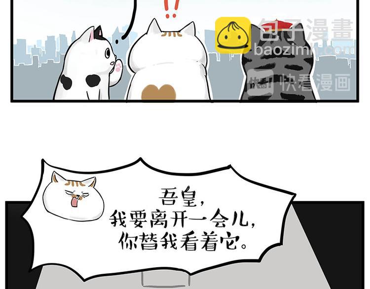 第248话 童话是真的26