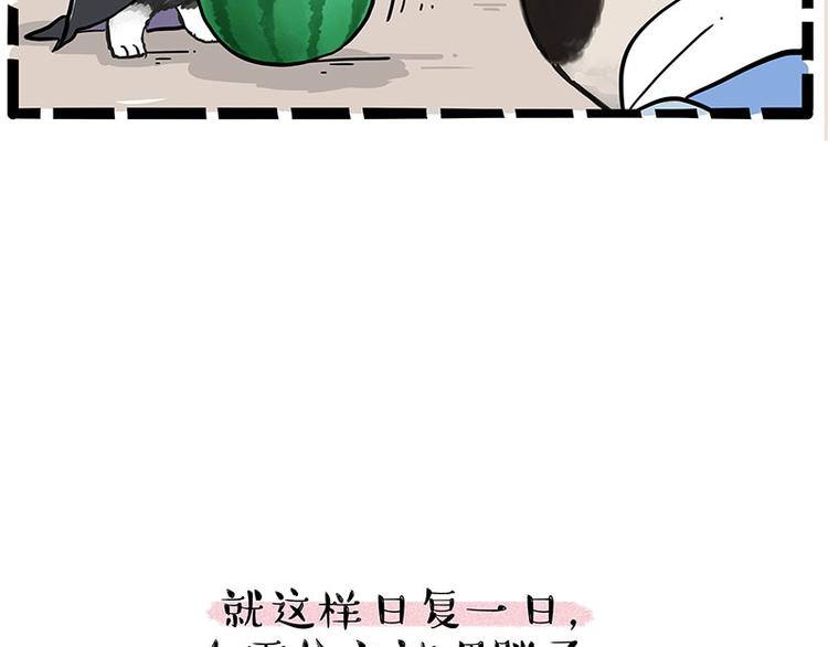 第248话 童话是真的38