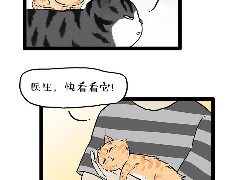 第248话 童话是真的86