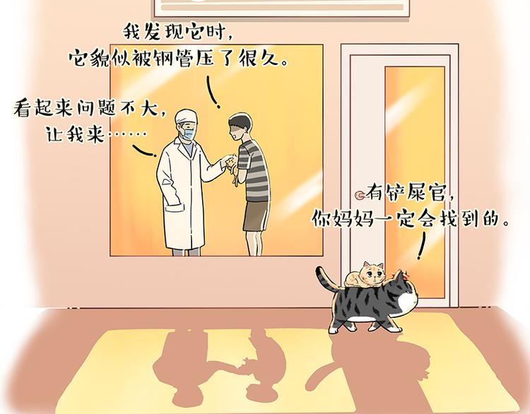 第248话 童话是真的88