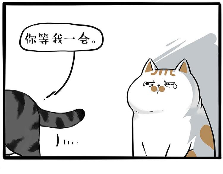 第249话 黑黑快跑！12