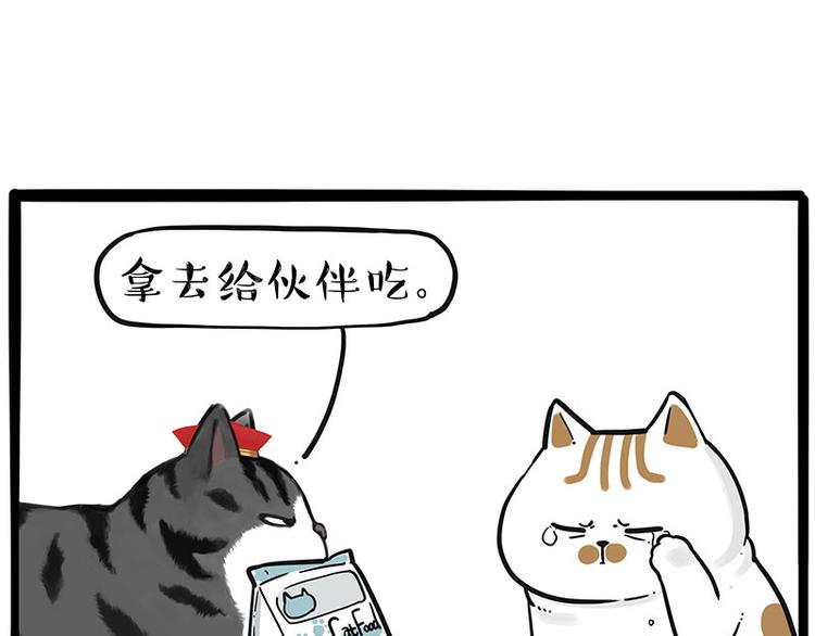 第249话 黑黑快跑！13
