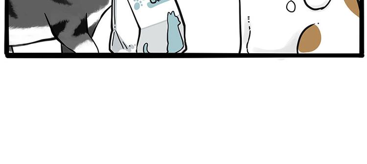 第249话 黑黑快跑！14