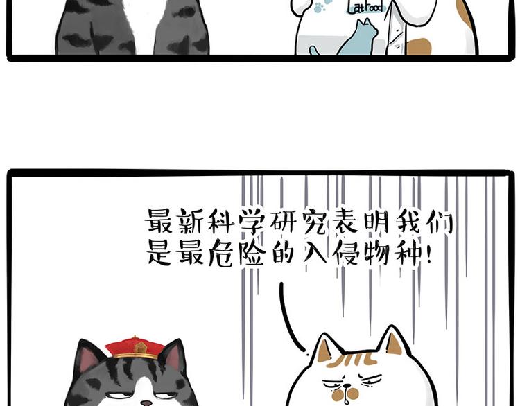 第249话 黑黑快跑！17