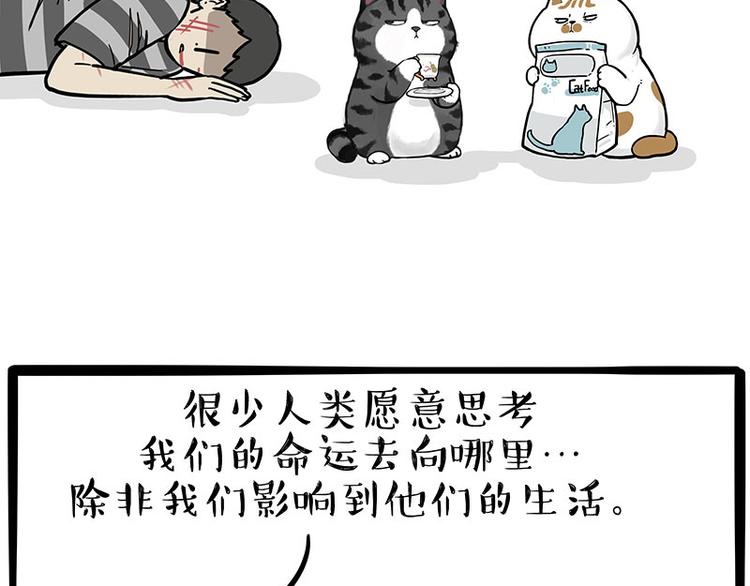 第249话 黑黑快跑！25