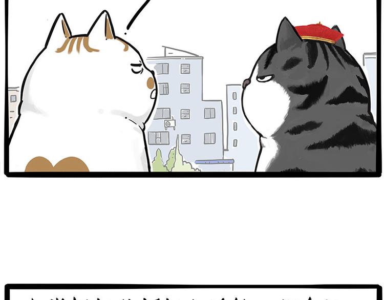 第249话 黑黑快跑！26