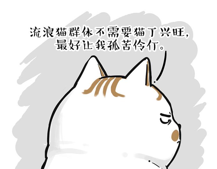 第249话 黑黑快跑！28