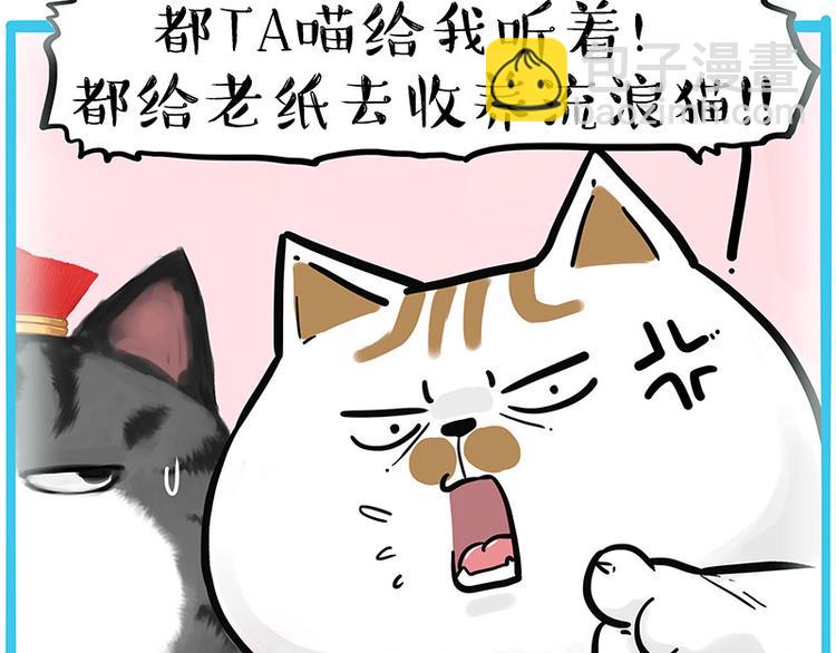 第249话 黑黑快跑！39