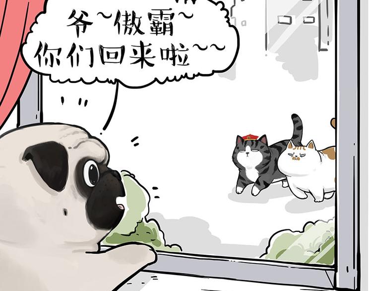 第249话 黑黑快跑！67