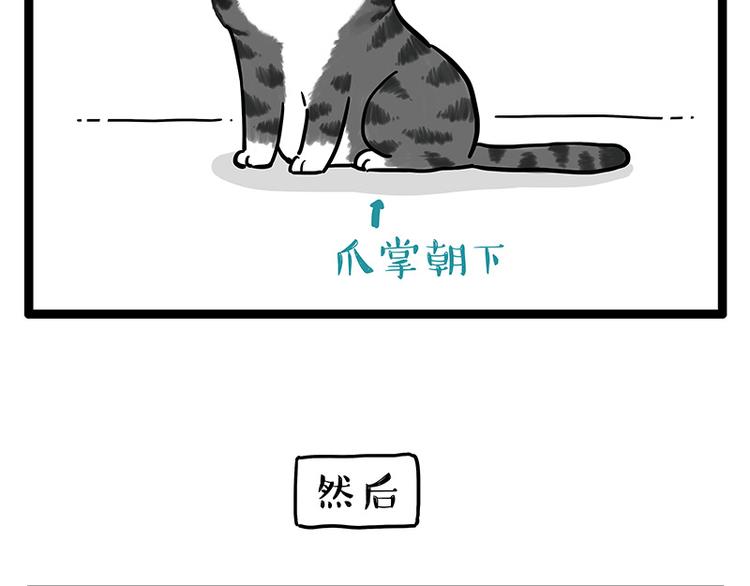 第250话 不择手段18
