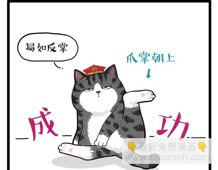 第250话 不择手段19