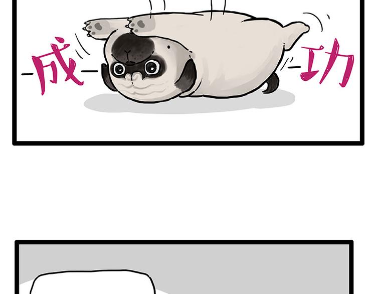 第250话 不择手段24