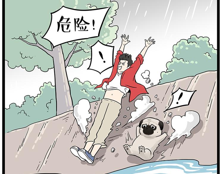 第252话 秃头帅哥69