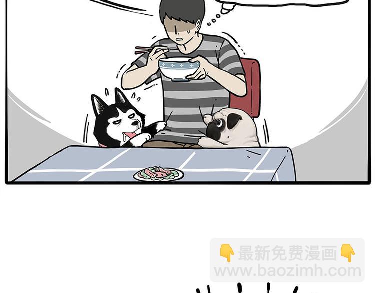第253话 与狗争饭18