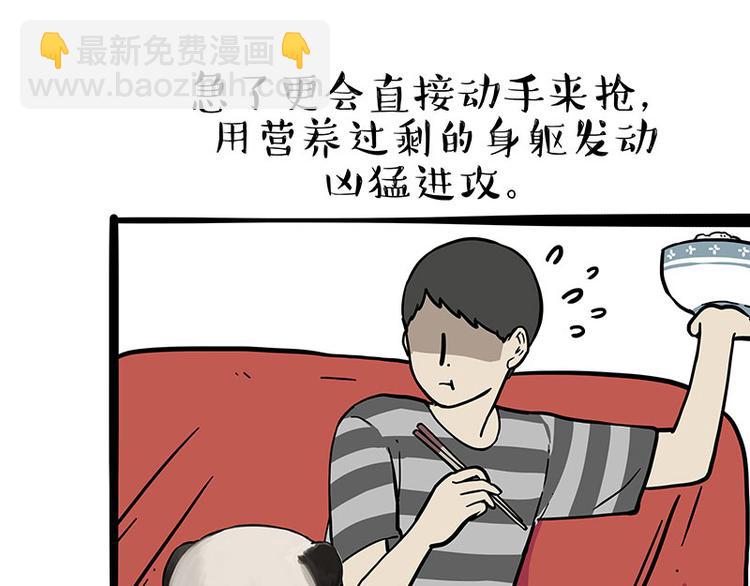 第253话 与狗争饭3