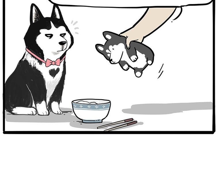 第253话 与狗争饭39