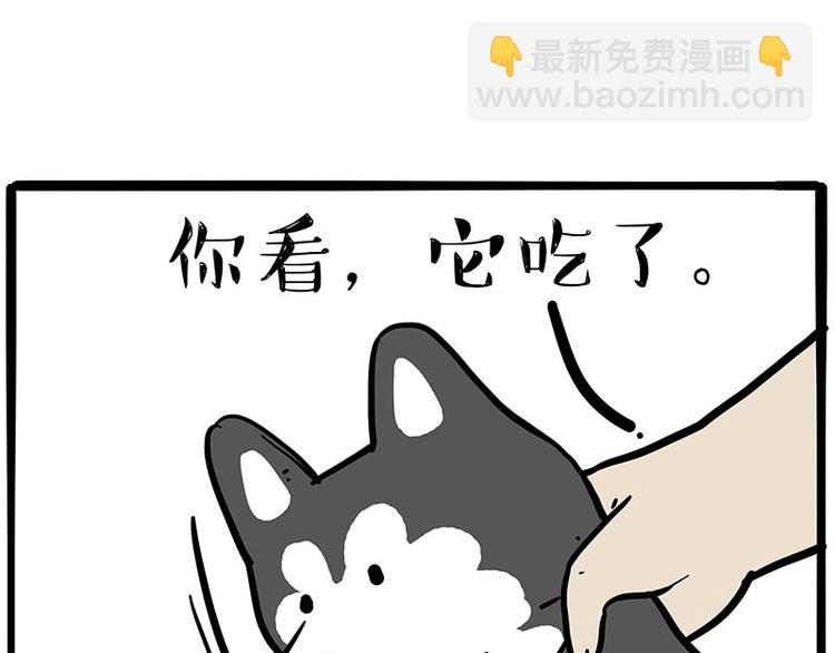 第253话 与狗争饭40