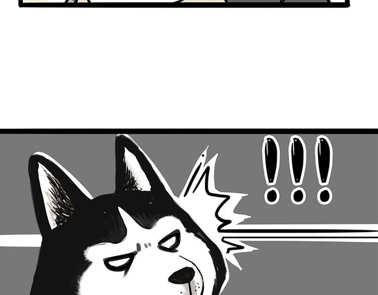 第253话 与狗争饭50