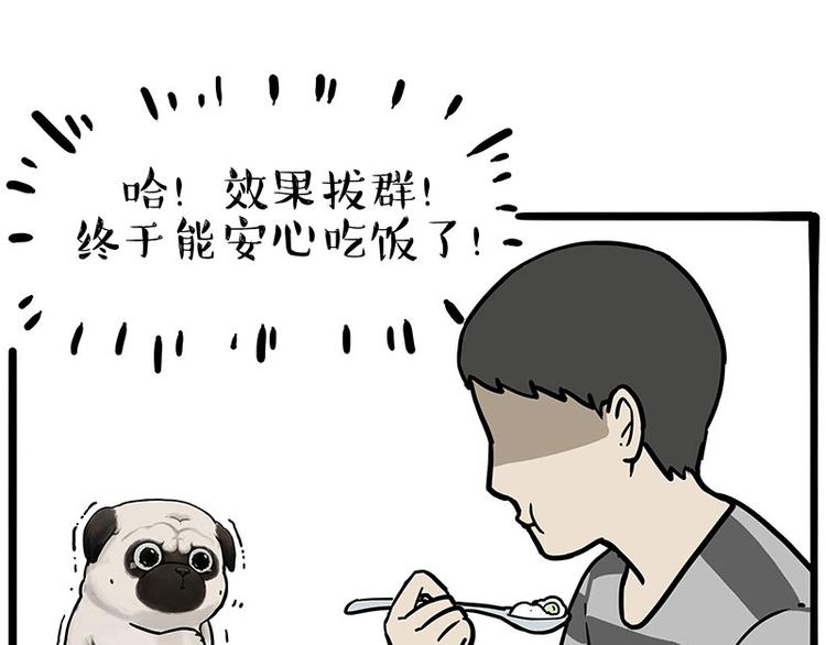 第253话 与狗争饭62