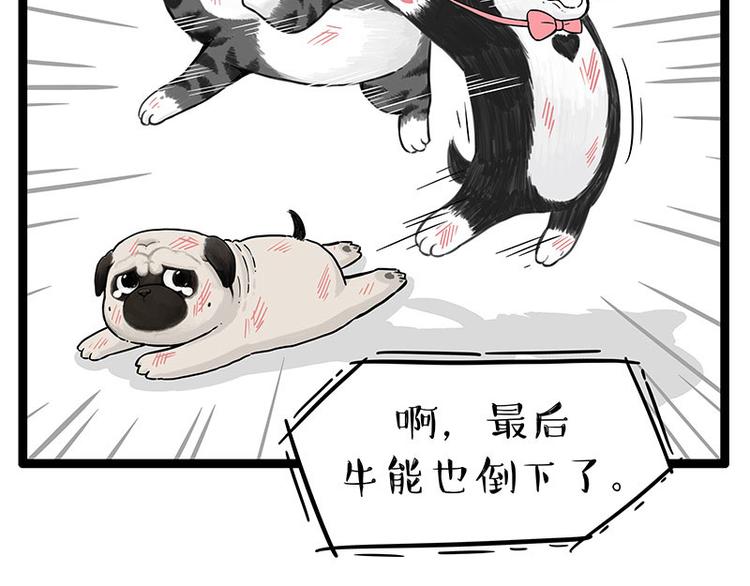 第254话 摔角大赛谁与争锋14