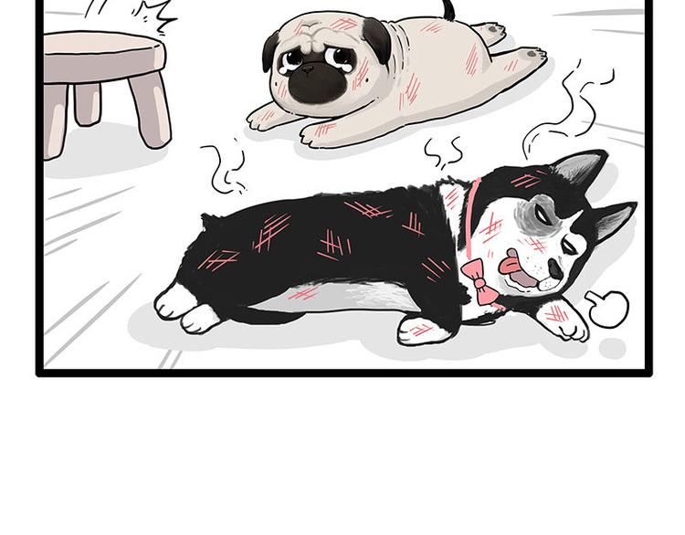 第254话 摔角大赛谁与争锋22