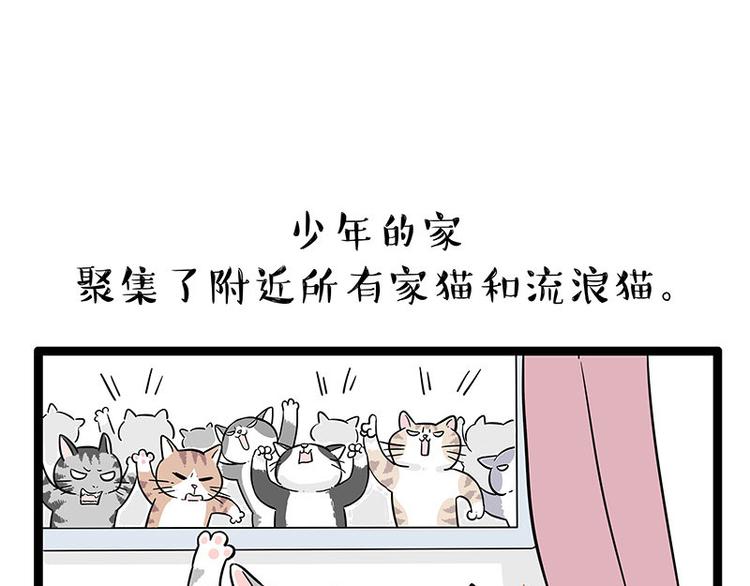 第254话 摔角大赛谁与争锋29