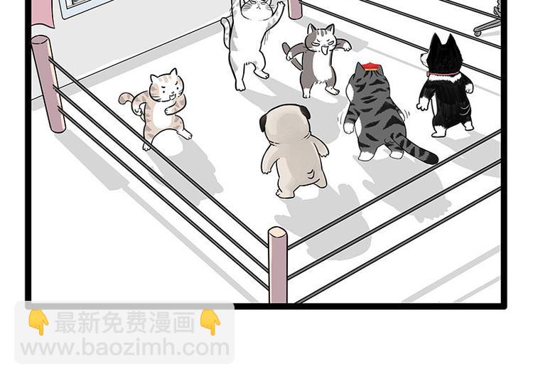 第254话 摔角大赛谁与争锋32