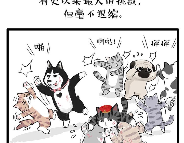 第254话 摔角大赛谁与争锋38