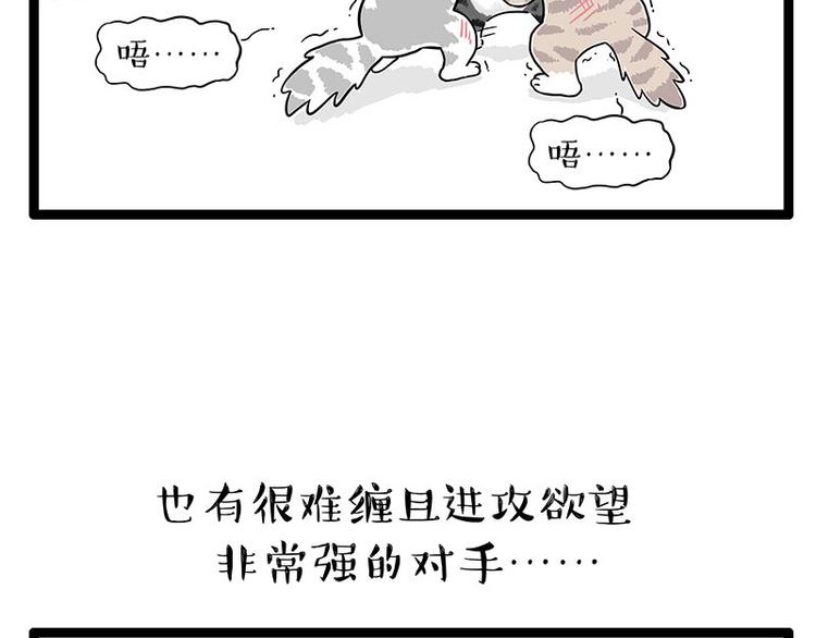 第254话 摔角大赛谁与争锋39