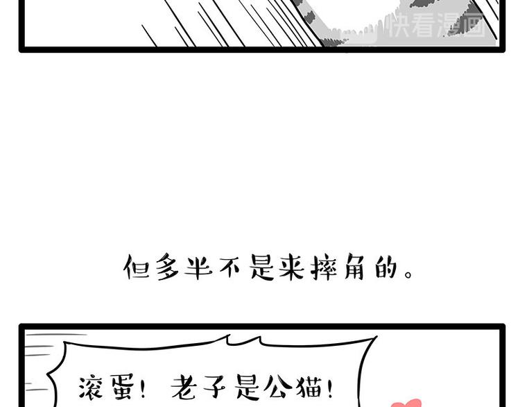 第254话 摔角大赛谁与争锋41