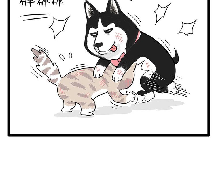 第254话 摔角大赛谁与争锋44