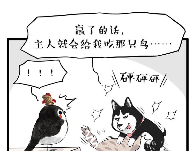 第254话 摔角大赛谁与争锋45