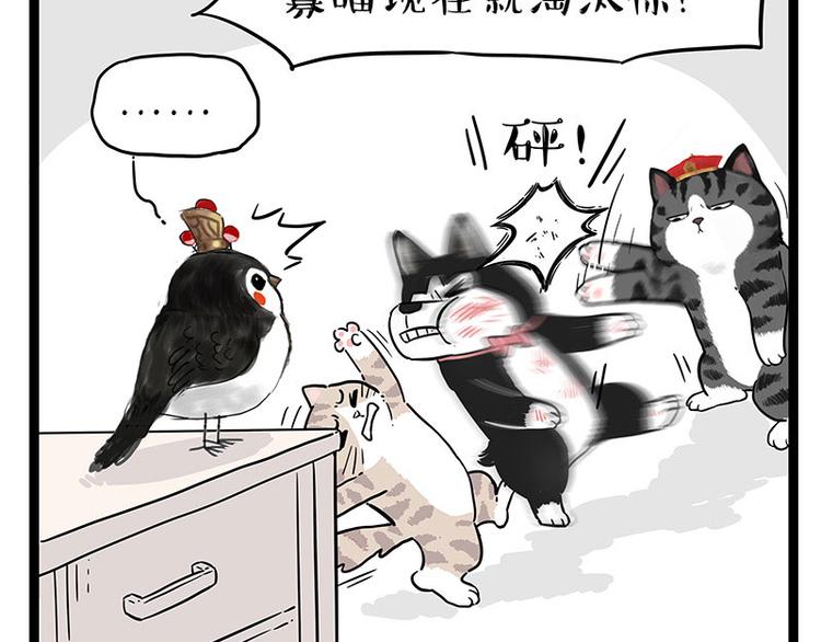 第254话 摔角大赛谁与争锋51