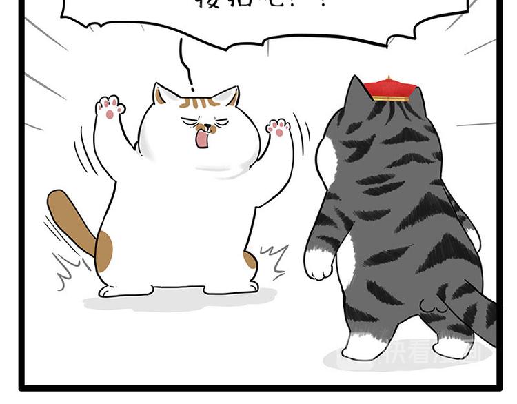 第254话 摔角大赛谁与争锋53