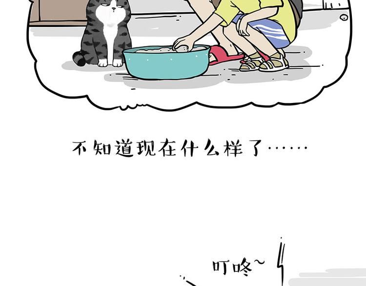第255话 小学生的胜利4