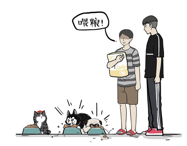 第255话 小学生的胜利55