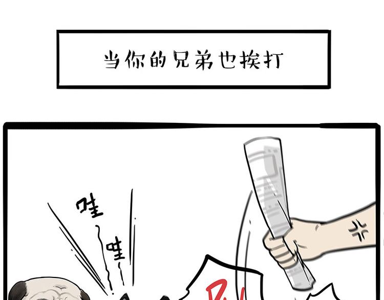 第256话 狗朋友10